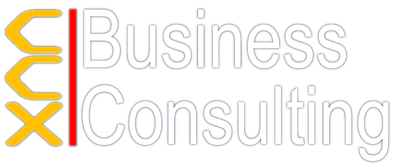 CCX Business Consulting